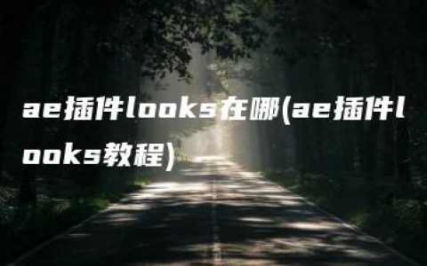 ae插件looks在哪(ae插件looks教程)