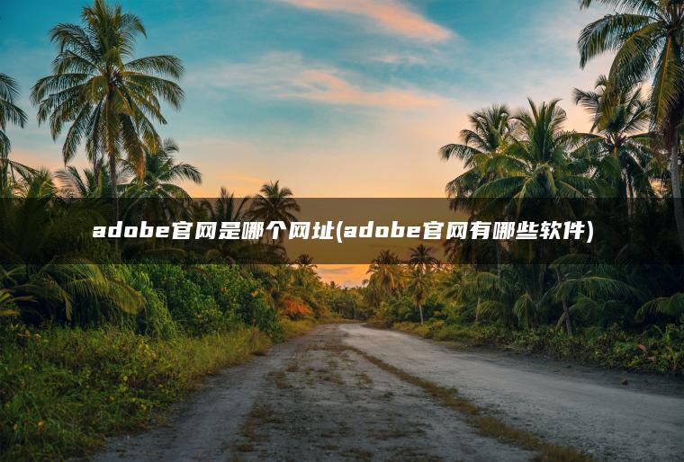 adobe官网是哪个网址(adobe官网有哪些软件)