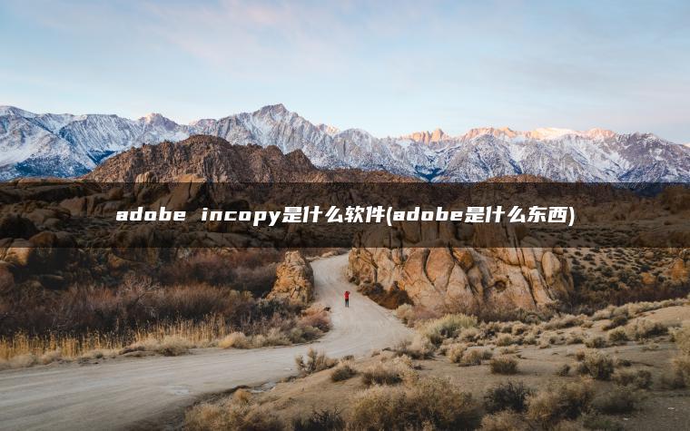 adobe incopy是什么软件(adobe是什么东西)