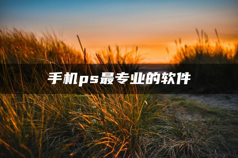 手机ps最专业的软件