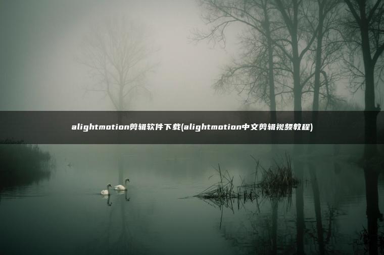 alightmotion剪辑软件下载(alightmotion中文剪辑视频教程)