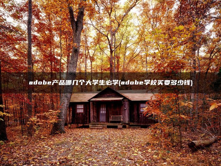 adobe产品哪几个大学生必学(adobe学校买要多少钱)