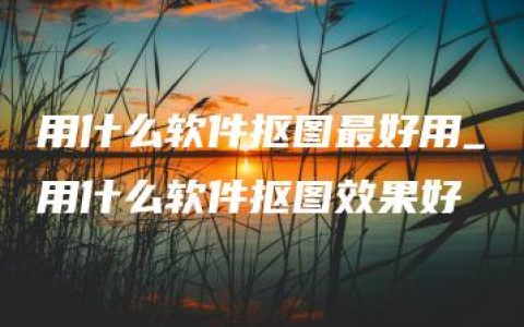 用什么软件抠图最好用_用什么软件抠图效果好