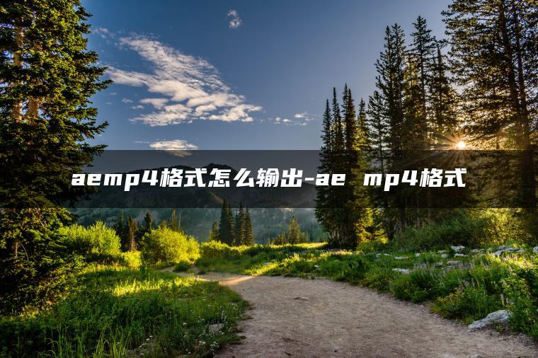 aemp4格式怎么输出-ae mp4格式