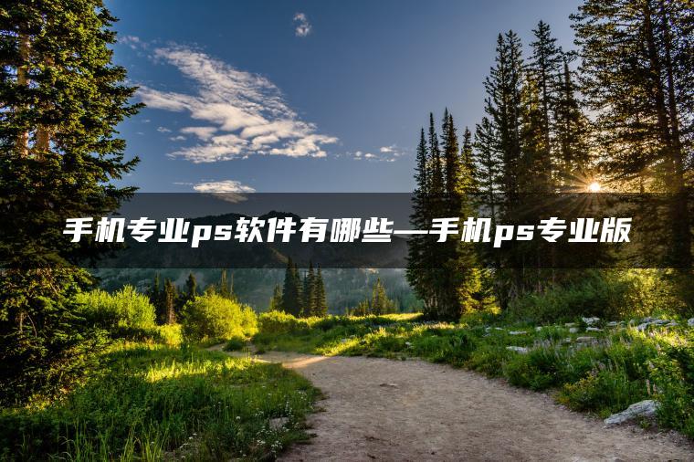 手机专业ps软件有哪些—手机ps专业版